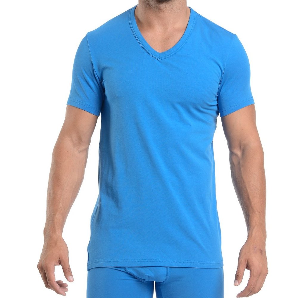 Wood Blue V-Neck T-Shirt